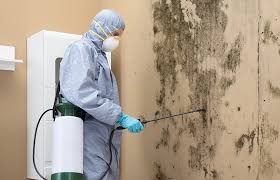 Why You Should Choose Our Mold Remediation Services in Castleton On Hudson, NY